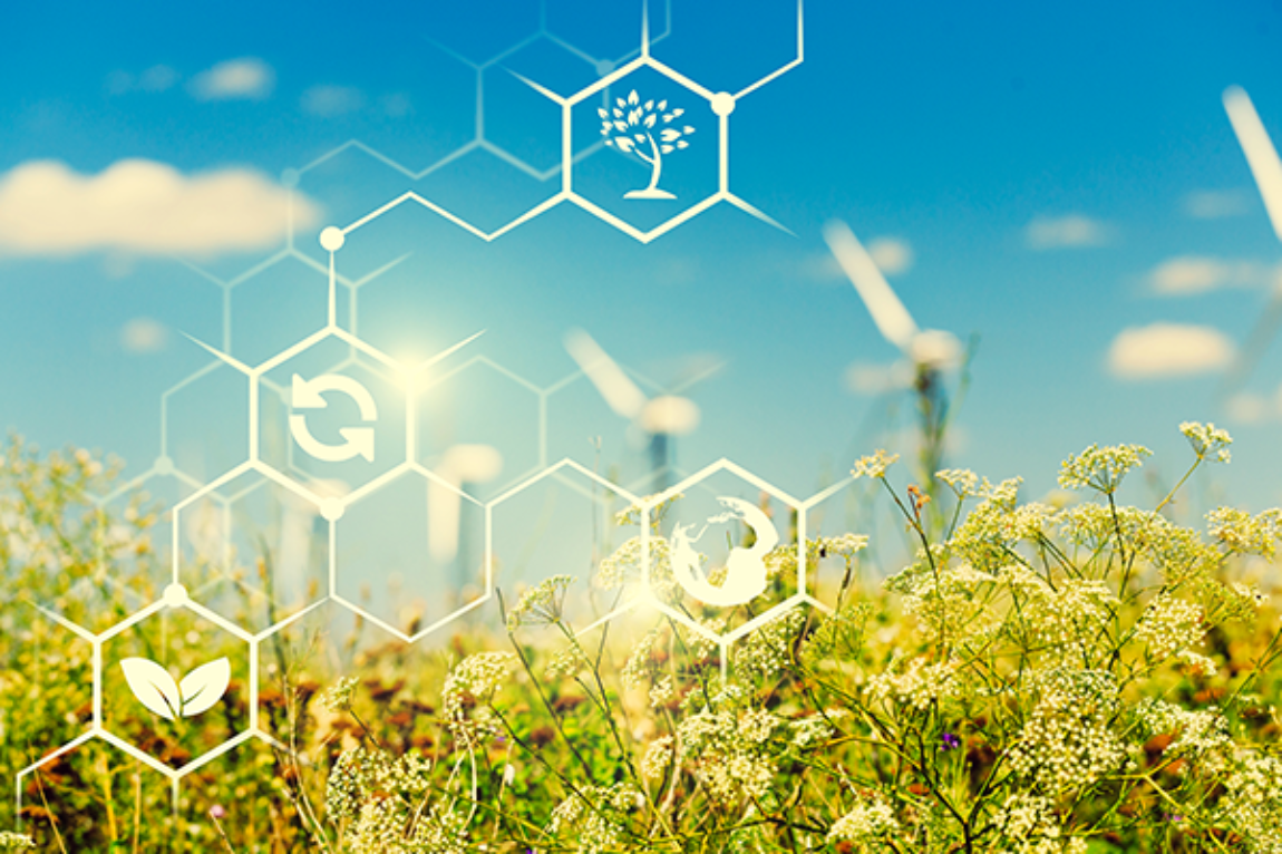Circular Economy Circular Economy