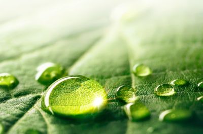 PERTEC UP EPDM AdobeStock_192968976