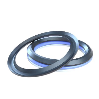 Two chevron seals or V-rings laying on each other