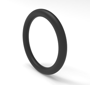 10 pièces O-ring joints toriques 29 x 2 mm DIN 3601 viton FPM vkm 75 Nouveau